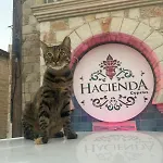 La Hacienda Cyprus 4*