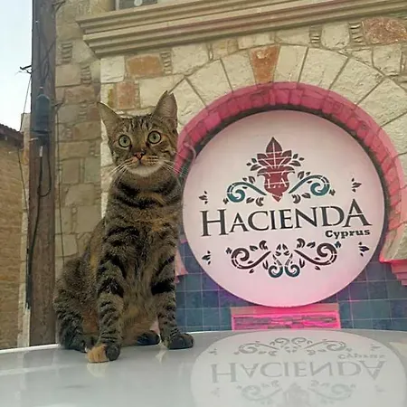 Ξενοδοχείο La Hacienda Cyprus 4*